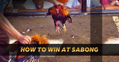 sabong terms|A Guide to Sabong Terms .